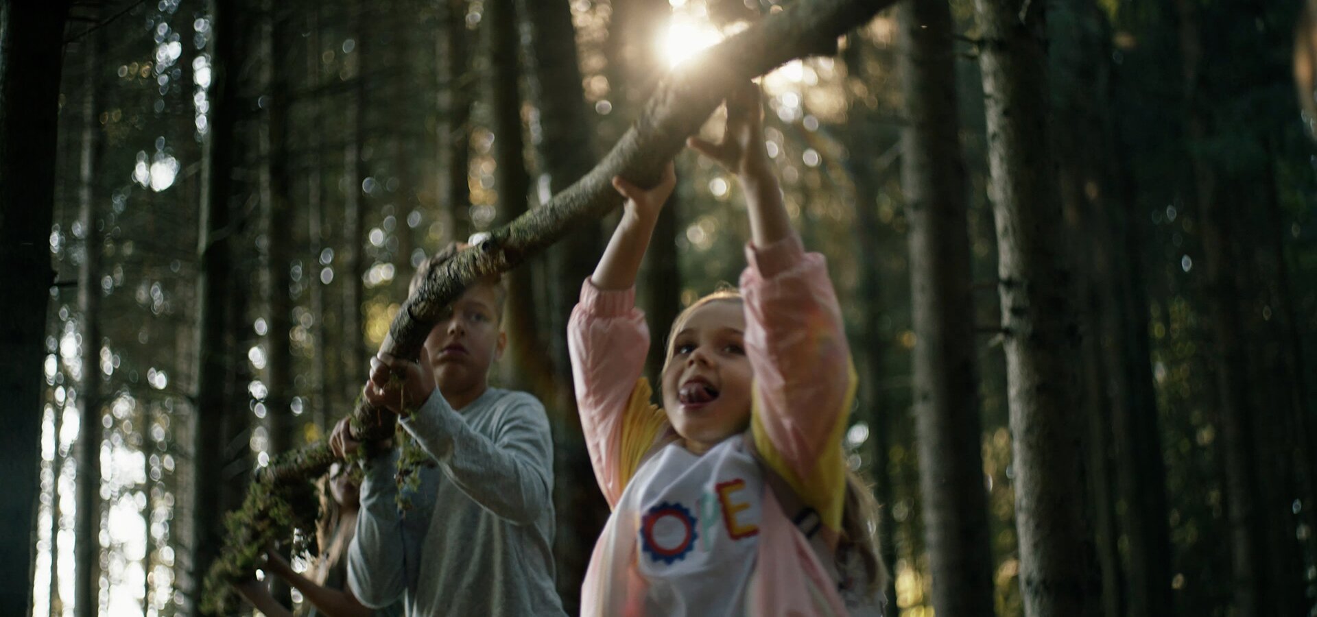 children lift a tree